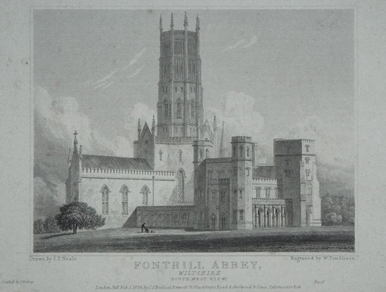 Print - Fonthill Abbey, Wiltshire (South West View) - Tombleson